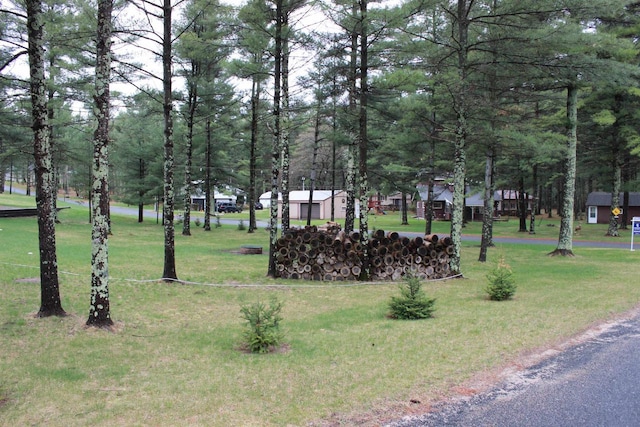 view of community featuring a yard