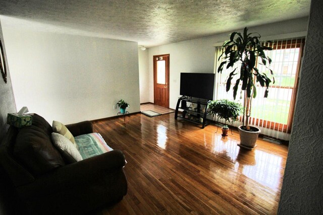living room with a textured ceiling and wood finished floors