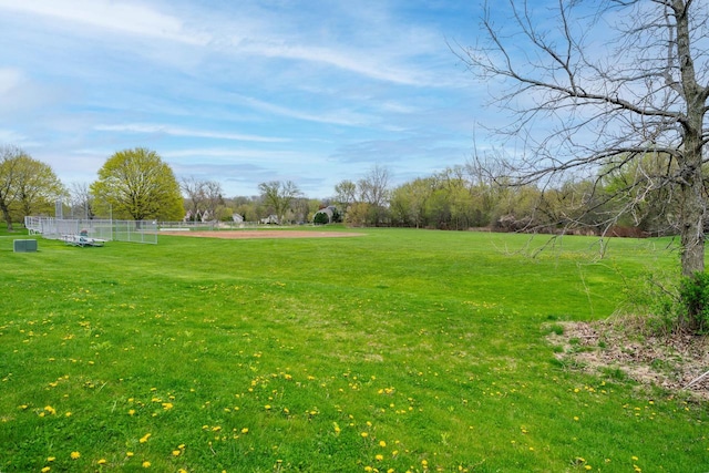 765 Safer Ct, Brookfield, WI 53045 - view of yard