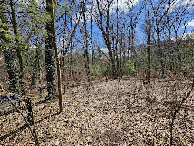 0 Alpine Trl, Wautoma, WI 54982