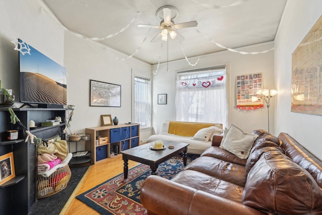living area featuring a ceiling fan and wood finished floors
