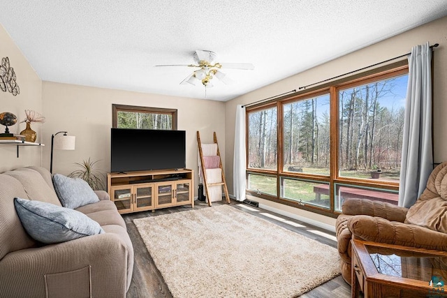 living area with a textured ceiling, ceiling fan, and wood finished floors