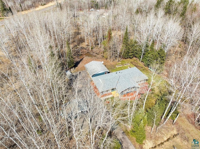 drone / aerial view