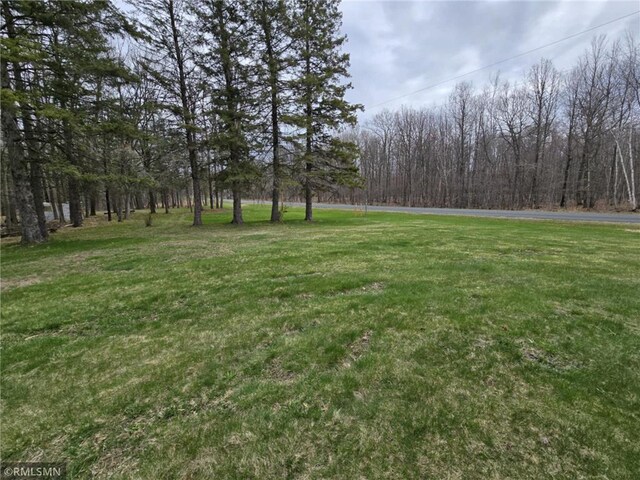 439 270th Ave, Cumberland, WI 54829 - view of yard featuring a view of trees