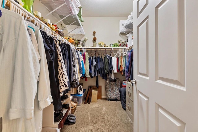 spacious closet with carpet flooring