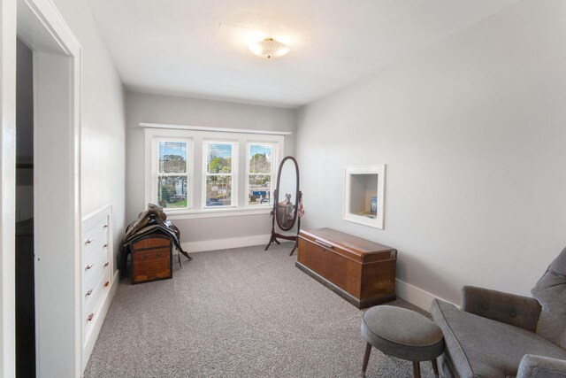 living area with baseboards and carpet flooring
