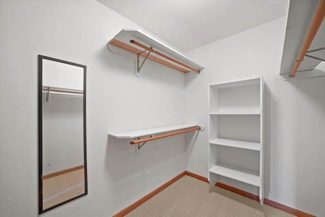 spacious closet with carpet flooring
