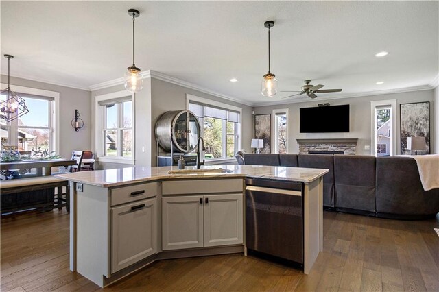 2931 Drier Rd, Eau Claire, WI 54701 - kitchen featuring a sink, dishwasher, a ceiling fan, a wealth of natural light, and dark wood-type flooring