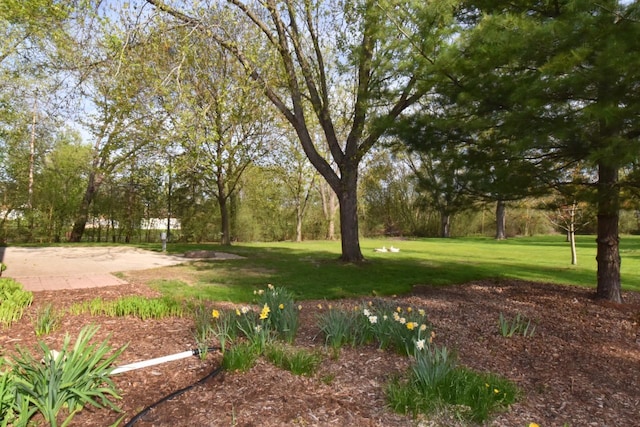 view of green lawn