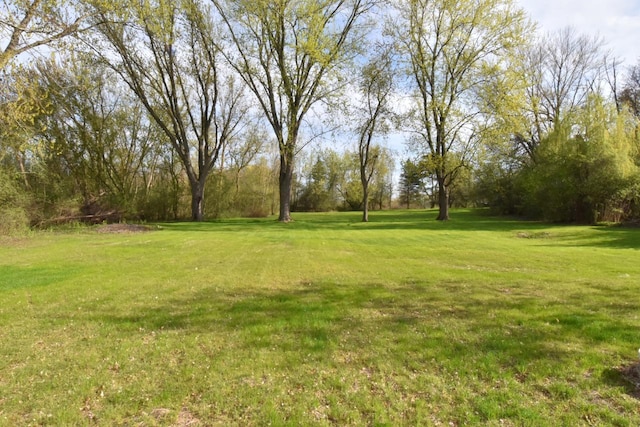 view of green lawn