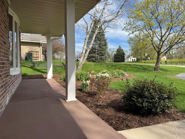view of green lawn