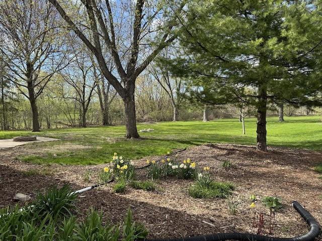 view of grassy yard