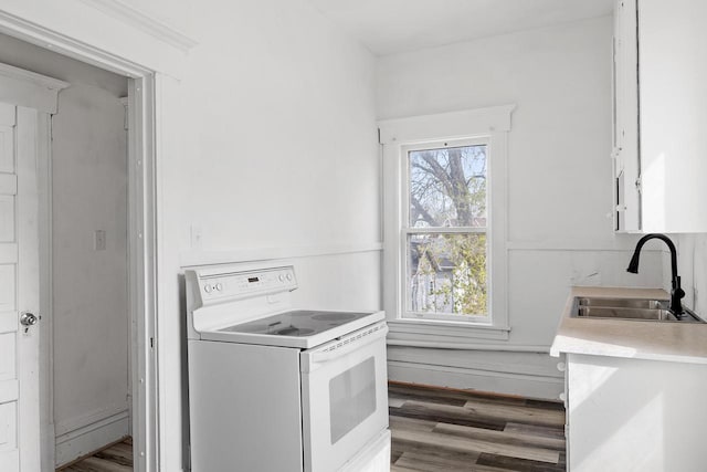 clothes washing area featuring laundry area, a wealth of natural light, a sink, and wood finished floors
