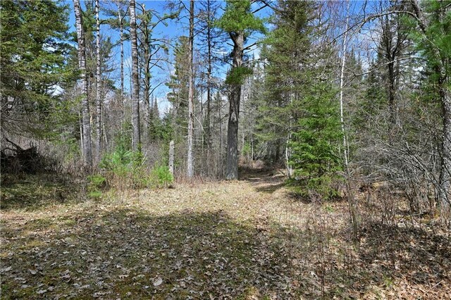 13195 Kavanaugh Rd, Cable, WI 54821 - view of local wilderness with a wooded view