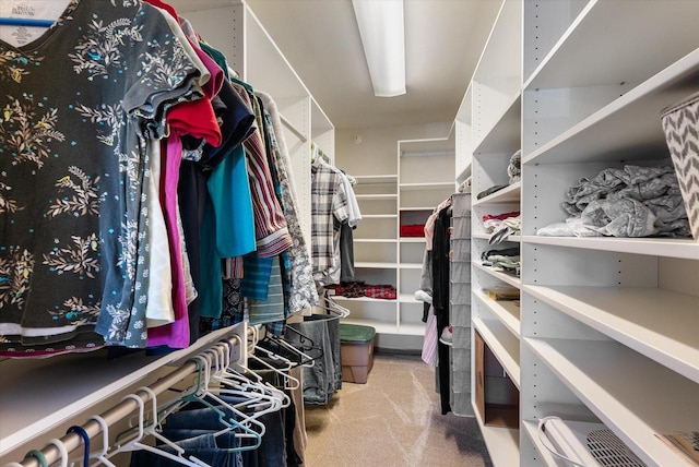 spacious closet with carpet floors