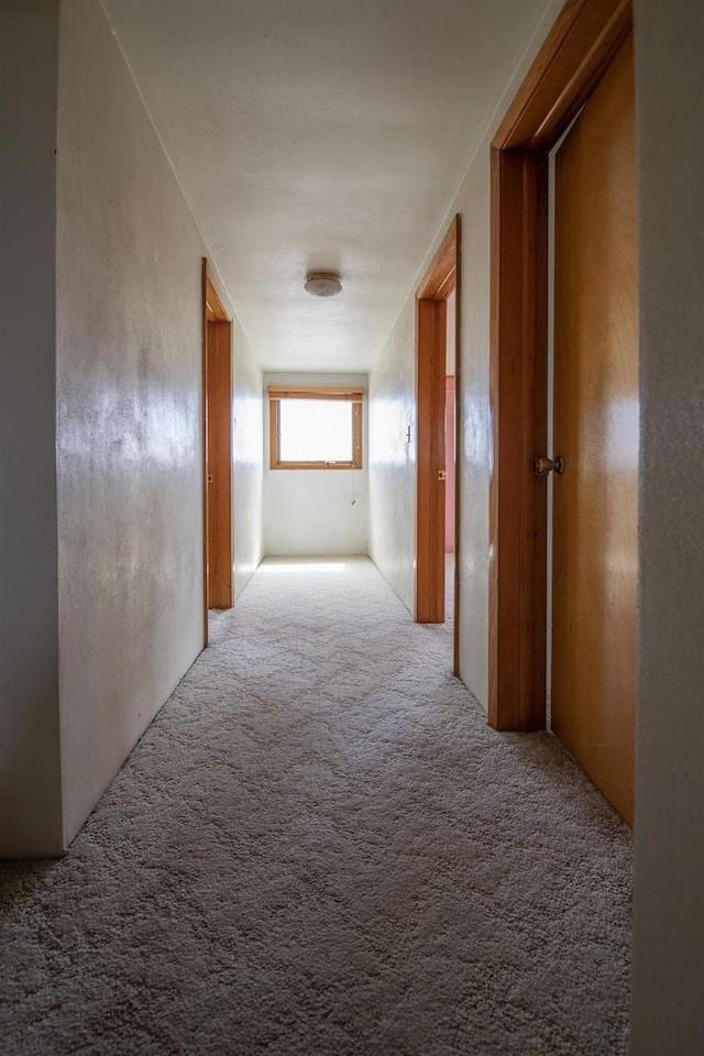 5016 Sth 96, Denmark, WI 54208 - corridor featuring carpet flooring