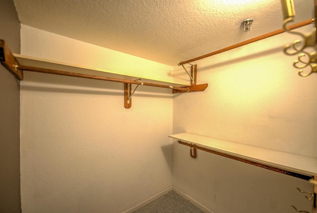walk in closet with carpet flooring
