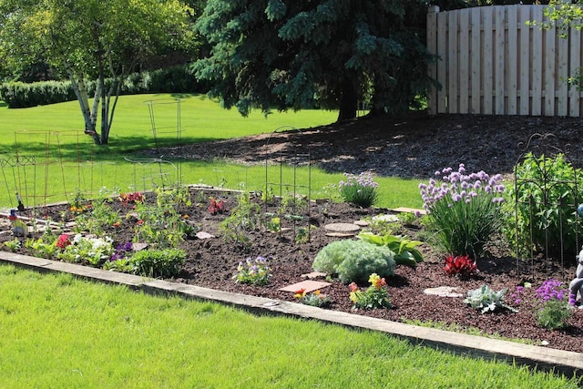 view of yard with fence and a garden