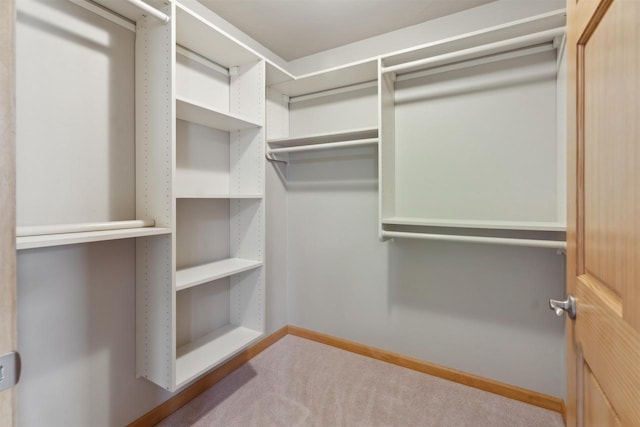 walk in closet with carpet floors