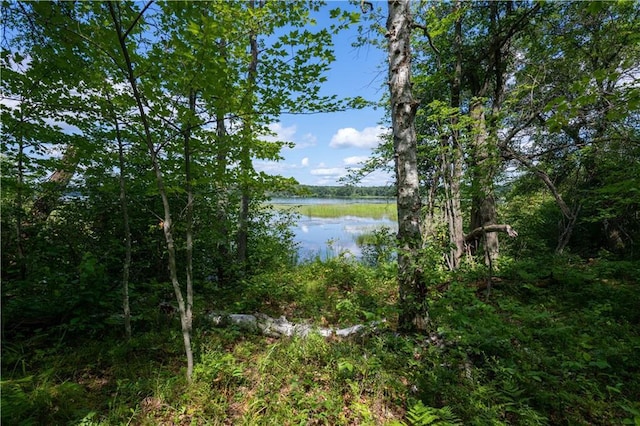 TBD S Lipsett Lake Rd, Spooner, WI 54801