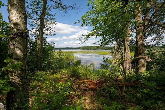 TBD S Lipsett Lake Rd, Spooner, WI 54801