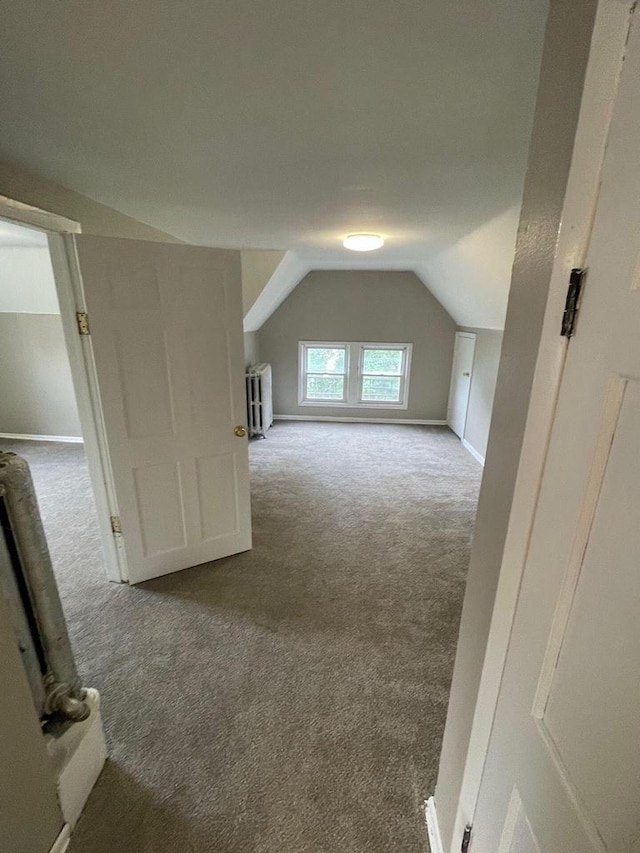 additional living space featuring baseboards, vaulted ceiling, and carpet