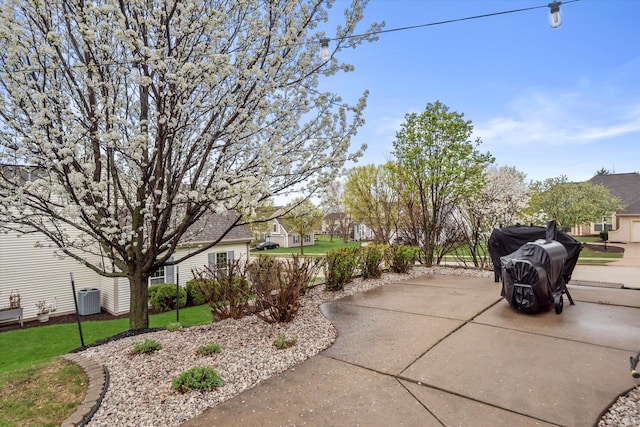 exterior space with a patio and a lawn