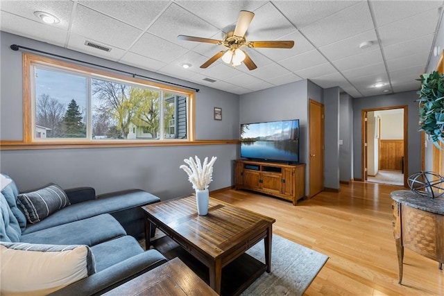 living room with ceiling fan, visible vents, a drop ceiling, and light wood-type flooring