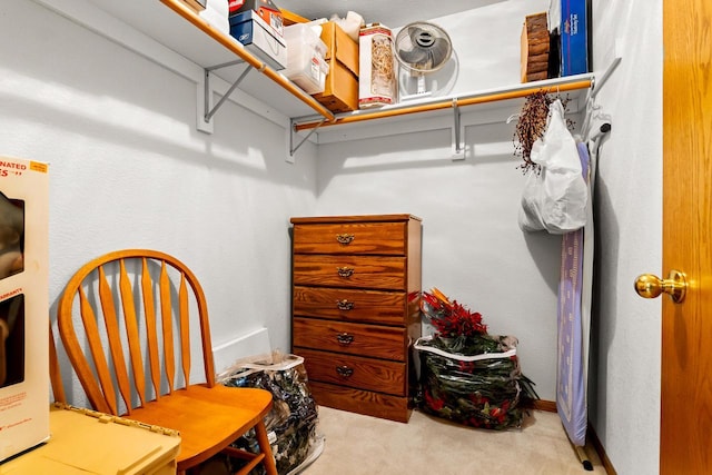 spacious closet with carpet