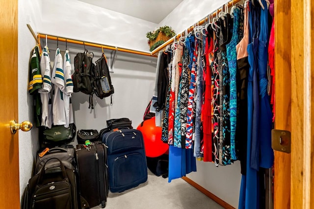 spacious closet featuring carpet