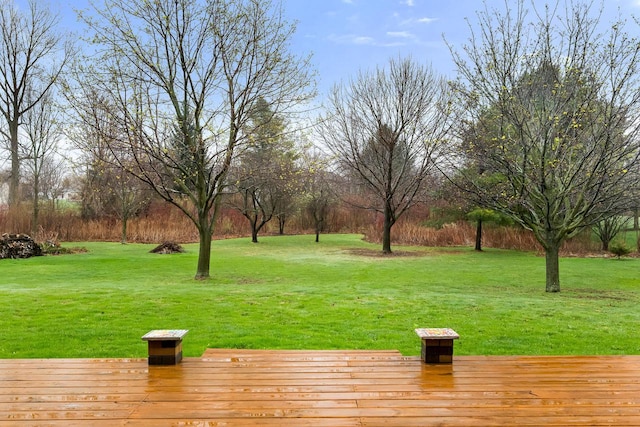 view of yard featuring a deck