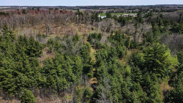 42.53A County Road Q, Amherst Junction, WI 54407