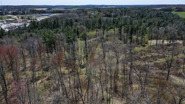 42.53A County Road Q, Amherst Junction, WI 54407