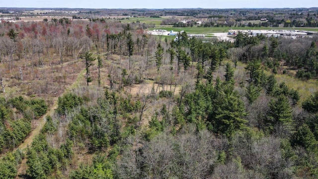 42.53A County Road Q, Amherst Junction, WI 54407