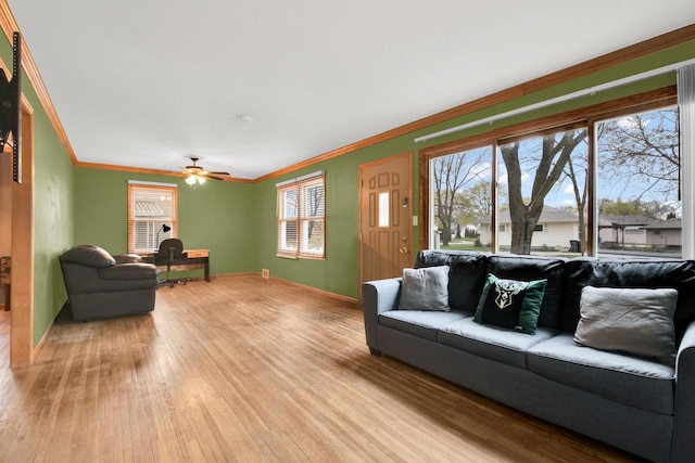 3317 E Denton Ave, Saint Francis, WI 53235 - living room with light wood-style flooring, ceiling fan, ornamental molding, and baseboards