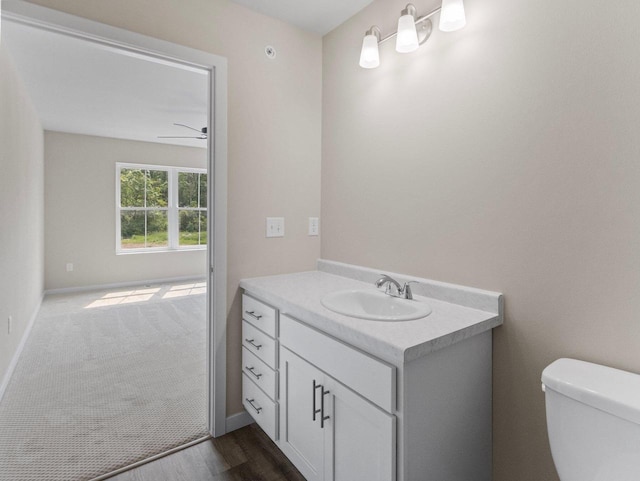 W194N16740 Eagle Dr Unit 1, Jackson, WI 53037 - bathroom with vanity, wood finished floors, and ceiling fan