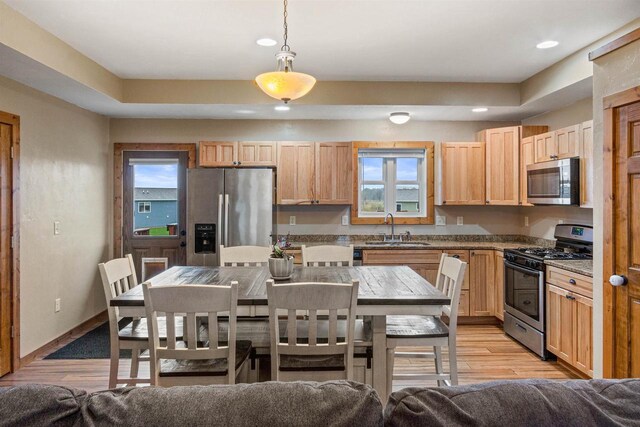 kitchen with appliances with stainless steel finishes, a healthy amount of sunlight, a sink, and light brown cabinets