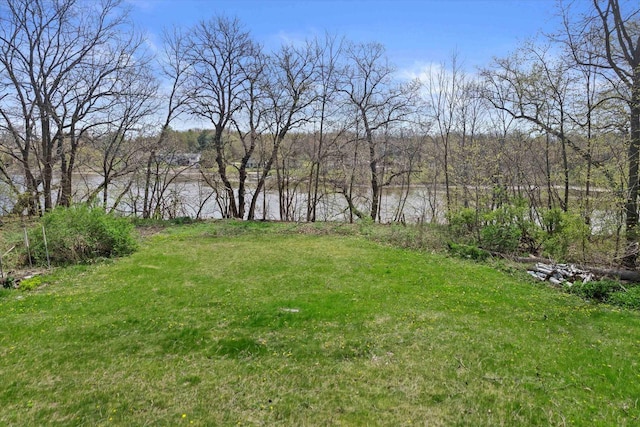 view of yard with a water view