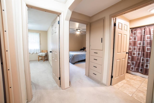 712 Frank St, Darlington, WI 53530 - hall with light colored carpet