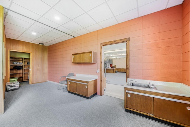 510 Lake St, Cascade, WI 53011 - bathroom with carpet flooring and a bathtub