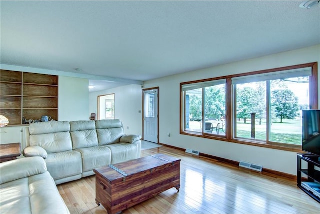 1897 Breezy Bay Rd, Balsam Lake, WI 54810 - living area with visible vents, baseboards, built in features, and light wood-style floors