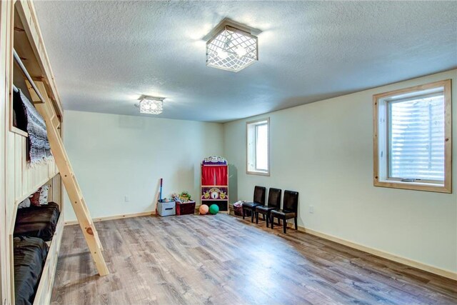 1897 Breezy Bay Rd, Balsam Lake, WI 54810 - playroom featuring baseboards, a textured ceiling, and wood finished floors
