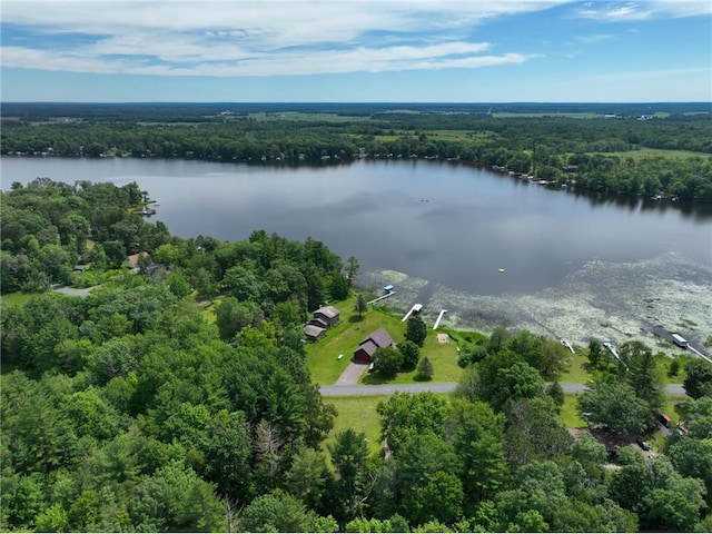 1897 Breezy Bay Rd, Balsam Lake, WI 54810 - birds eye view of property featuring a water view and a view of trees
