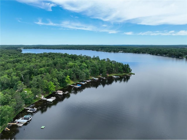 1897 Breezy Bay Rd, Balsam Lake, WI 54810 - bird's eye view with a water view and a forest view