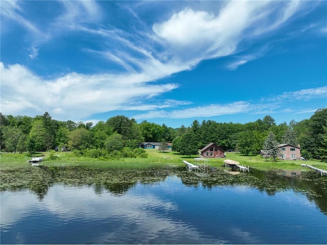 1897 Breezy Bay Rd, Balsam Lake, WI 54810 - water view featuring a wooded view