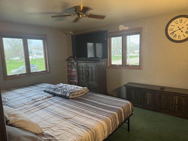 266 Forest St, Berlin, WI 54926 - carpeted bedroom featuring ceiling fan