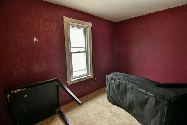 bedroom with multiple windows and carpet flooring