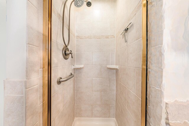 556 Gold St, Green Lake, WI 54941 - bathroom featuring a stall shower