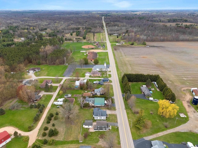 bird's eye view