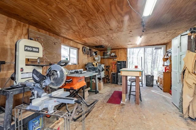 976 Blackhawk Ct, Hancock, WI 54943 - interior space featuring wooden walls and a workshop area